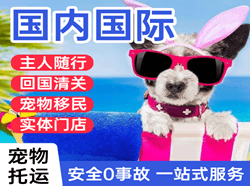 海北祁连机场快运国际宠物托运 【国